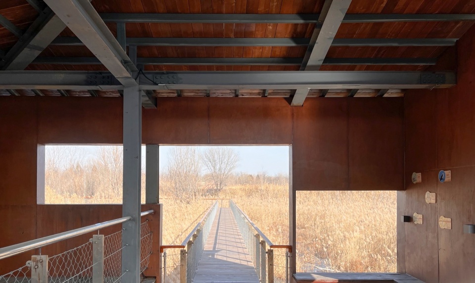 Reed Pavilion Bird watching Tower Park service building series in Xingxiang Ecological Park by Atelier Folie Duan Wei Studio Shanghai Lin...