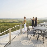 Sauska Tokaj酿酒厂，匈牙利 / BORD Architectural Studio