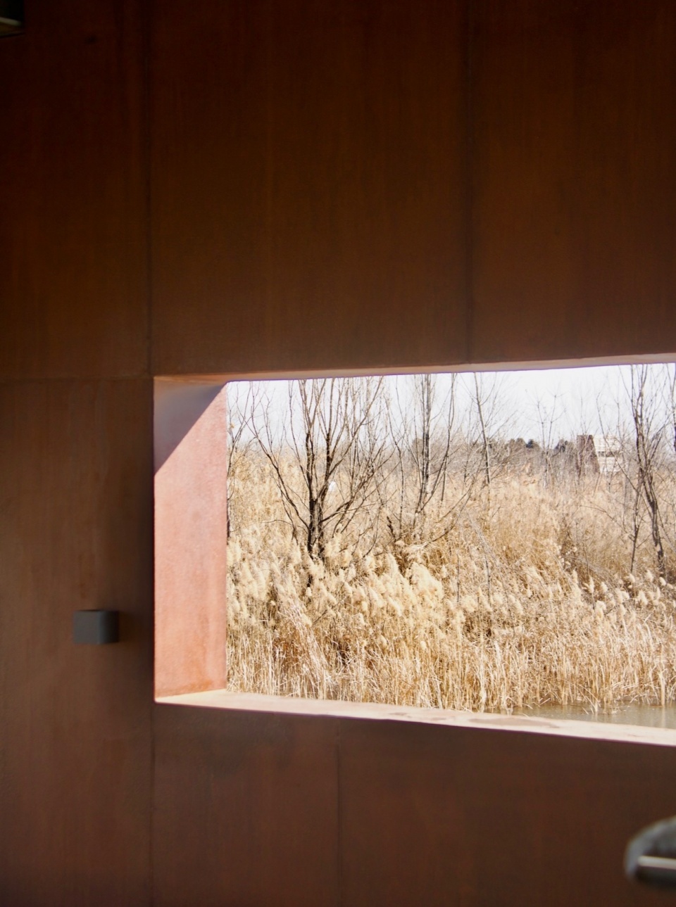 Reed Pavilion Bird watching Tower Park service building series in Xingxiang Ecological Park by Atelier Folie Duan Wei Studio Shanghai Lin...