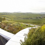 Sauska Tokaj酿酒厂，匈牙利 / BORD Architectural Studio
