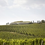 Sauska Tokaj酿酒厂，匈牙利 / BORD Architectural Studio