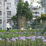 悦清公园，深圳 / 中国建筑西南设计研究院有限公司
