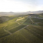 Sauska Tokaj酿酒厂，匈牙利 / BORD Architectural Studio