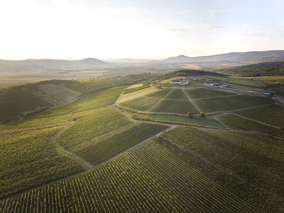 sauska tokaj winery by bord architectural studio