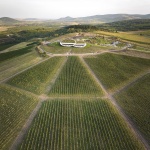 Sauska Tokaj酿酒厂，匈牙利 / BORD Architectural Studio