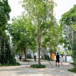 深圳市体育中心景观设计 / LOLA Landscape Architects