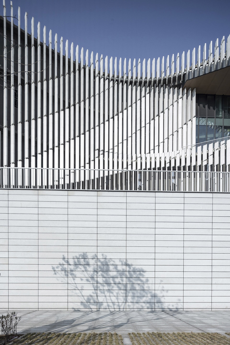 yangjiang cultural center by scut yifang