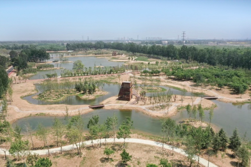Reed Pavilion Bird watching Tower Park service building series in Xingxiang Ecological Park by Atelier Folie Duan Wei Studio Shanghai Lin...