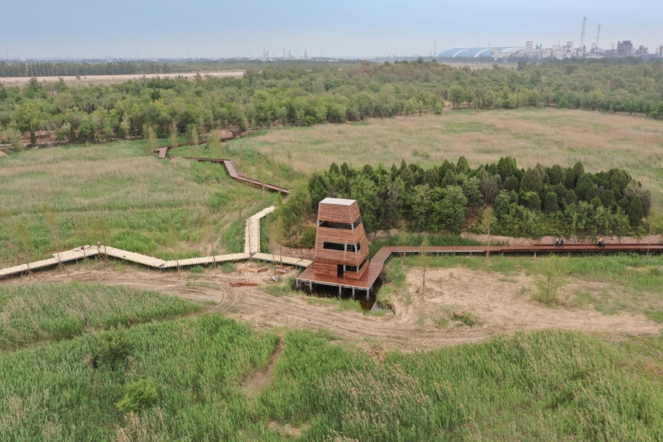 Reed Pavilion Bird watching Tower Park service building series in Xingxiang Ecological Park by Atelier Folie Duan Wei Studio Shanghai Lin...