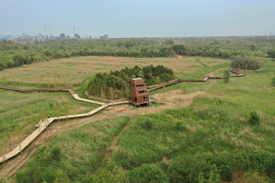 Reed Pavilion Bird watching Tower Park service building series in Xingxiang Ecological Park by Atelier Folie Duan Wei Studio Shanghai Lin...