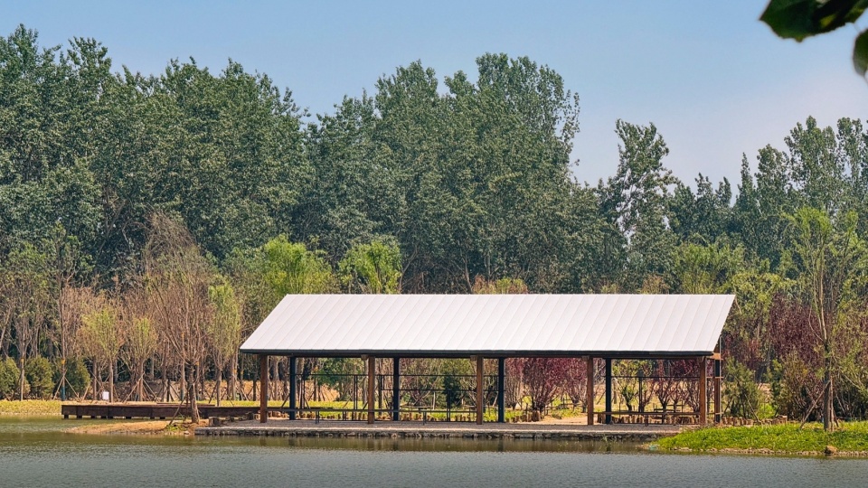 Reed Pavilion Bird watching Tower Park service building series in Xingxiang Ecological Park by Atelier Folie Duan Wei Studio Shanghai Lin...
