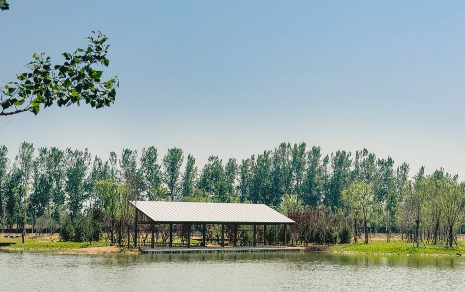 Reed Pavilion Bird watching Tower Park service building series in Xingxiang Ecological Park by Atelier Folie Duan Wei Studio Shanghai Lin...