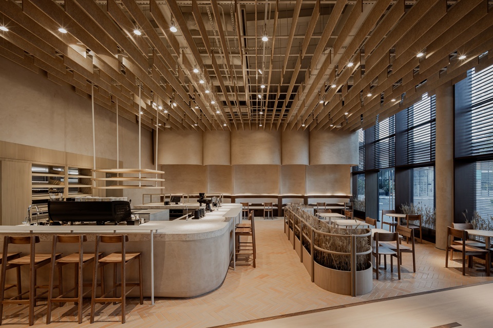 Krume Bakery by Mallol