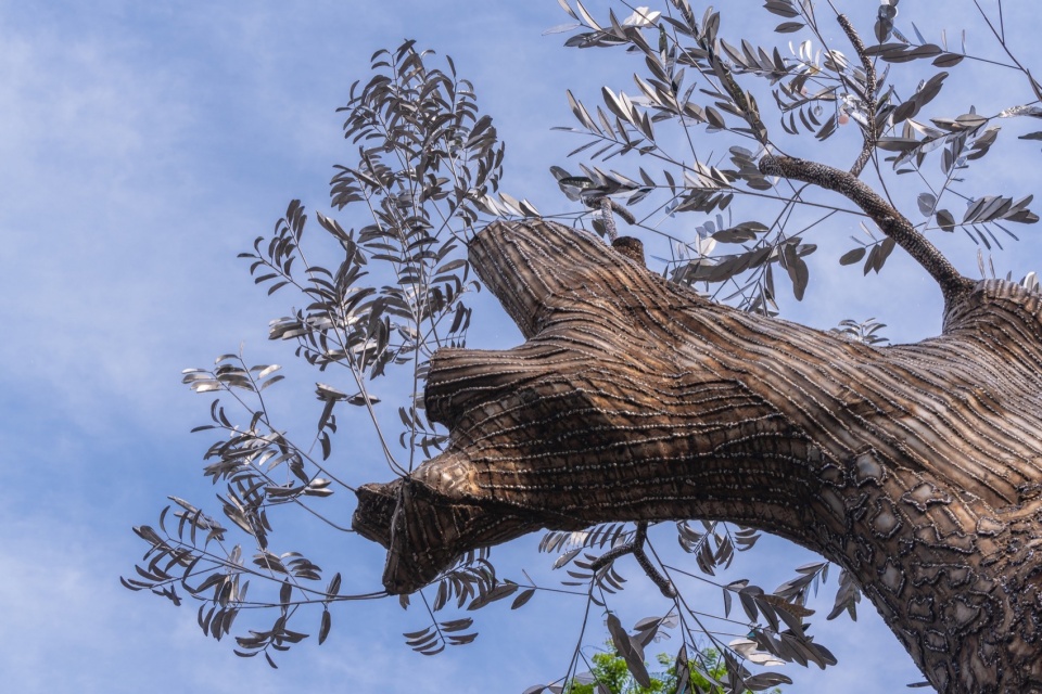 Resurrection TiaThuyNguyen
