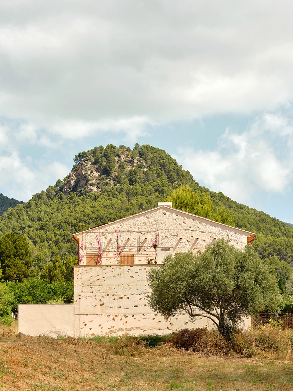 ses veles puigpunyent by alventosa morell arquitectes