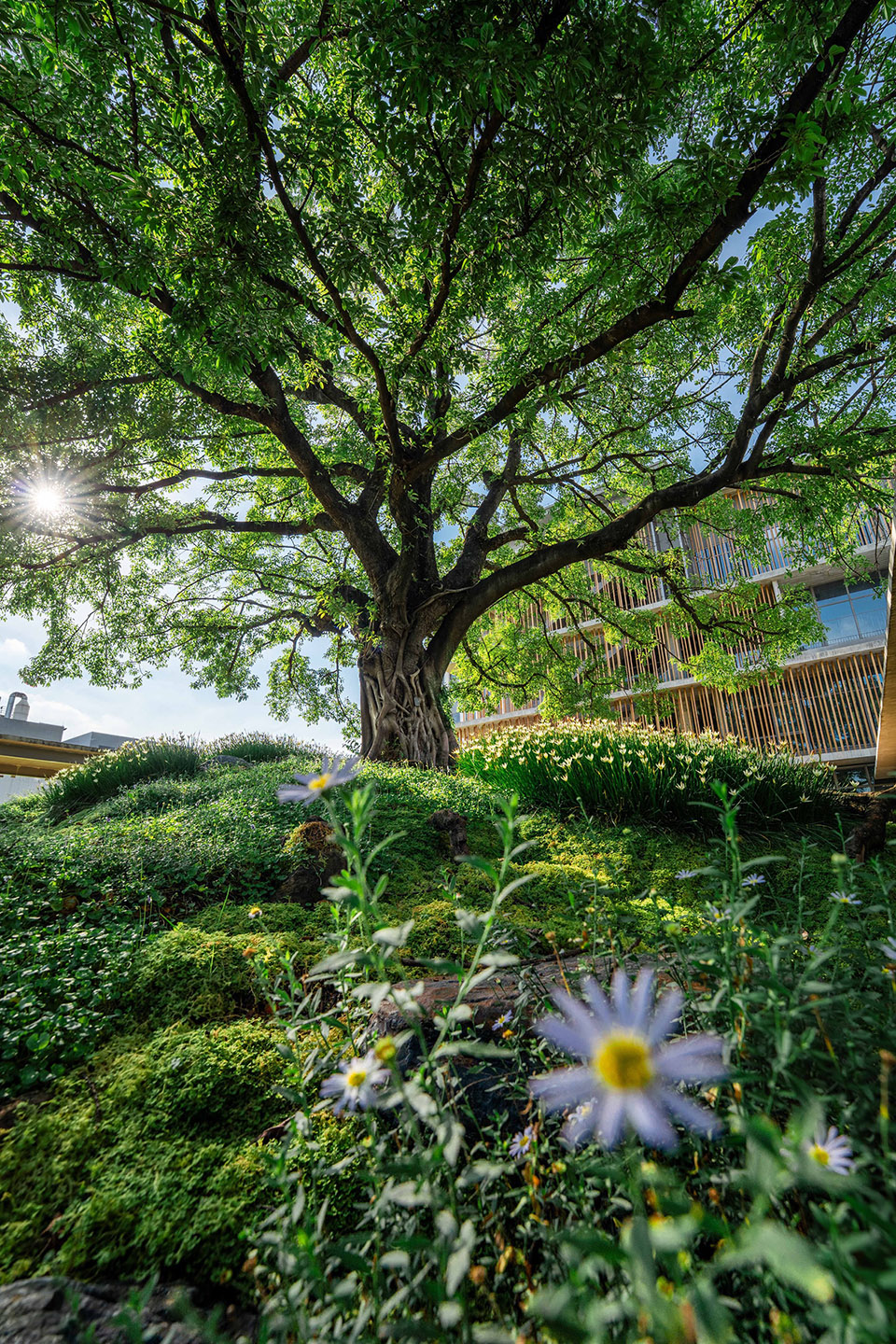 Manufacturing Industrial Park Landscape Design