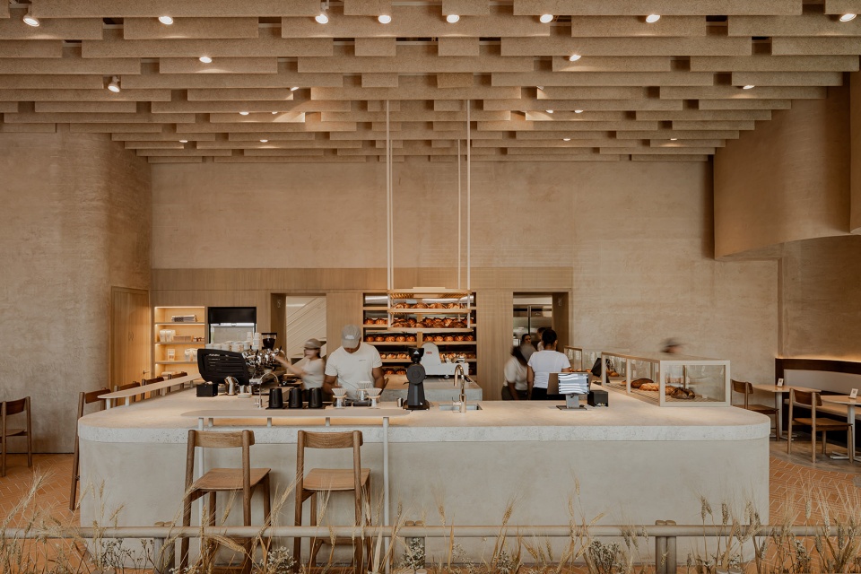 Krume Bakery by Mallol