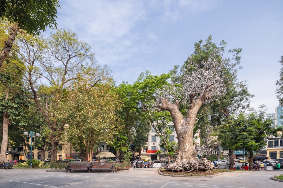 Resurrection TiaThuyNguyen