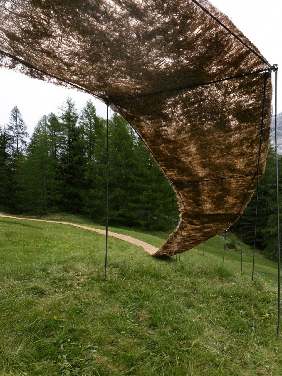 Trace of Land