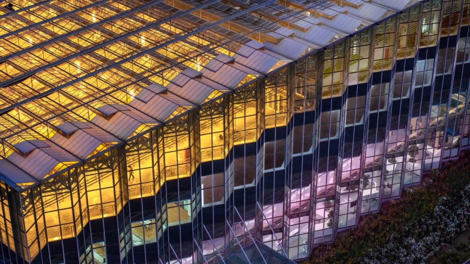 Vertical Farm Hengshui