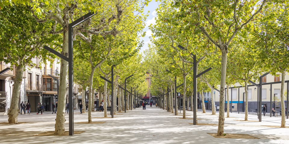 el firal dolot boulevard by anna eugeni bach
