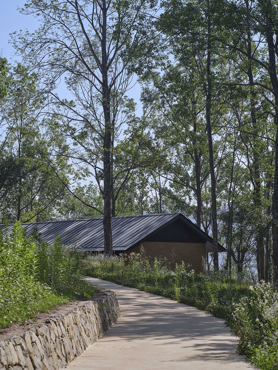 huanxshan forest life park project in hangzhou by withstudio
