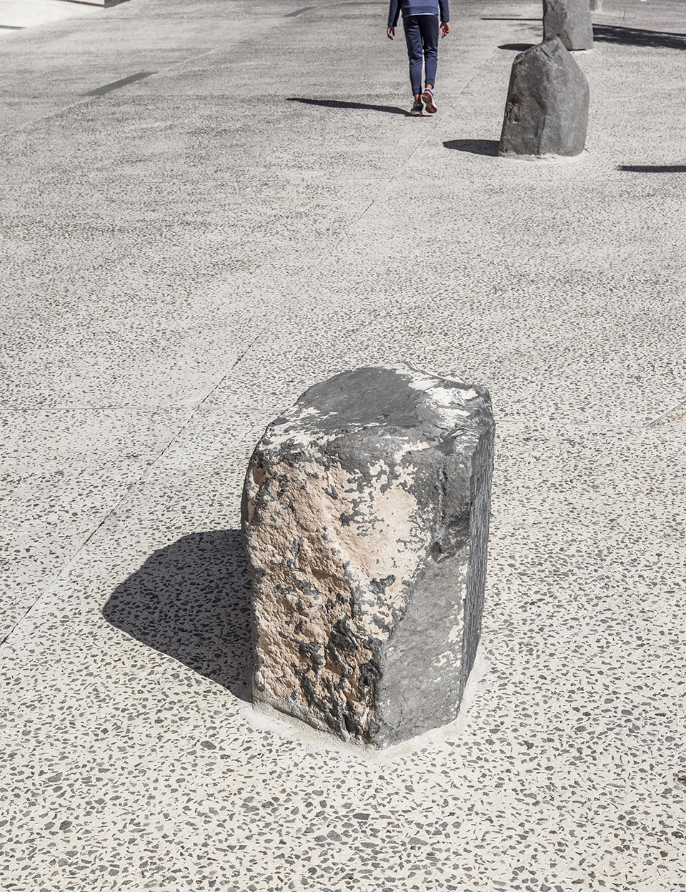 el firal dolot boulevard by anna eugeni bach