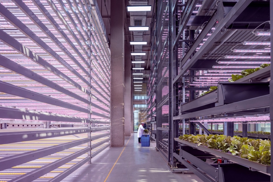 Vertical Farm Hengshui