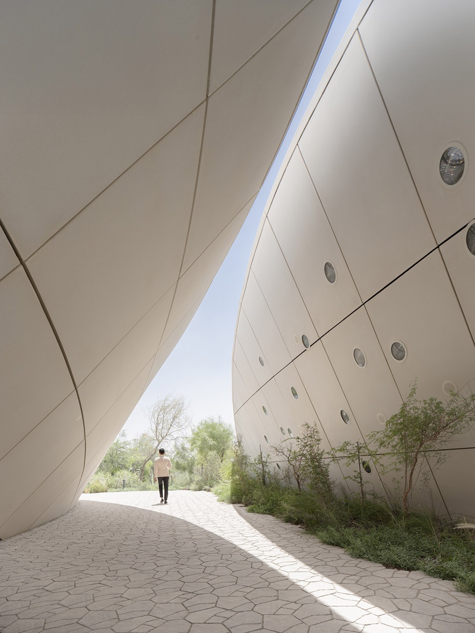 ghaf woods experience centre by aoe
