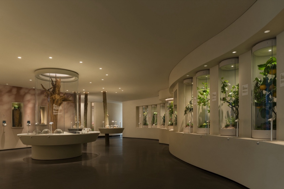 Xuelei Fragrance Museum