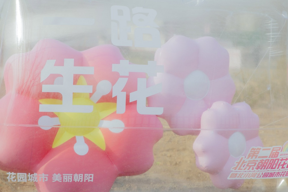 environmental renovation and enhancement design of cherry blossom valley in beixiaohe park beijing by dimu design