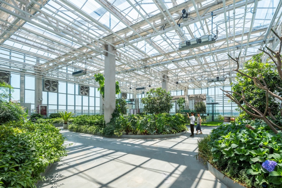 Vertical Farm Hengshui