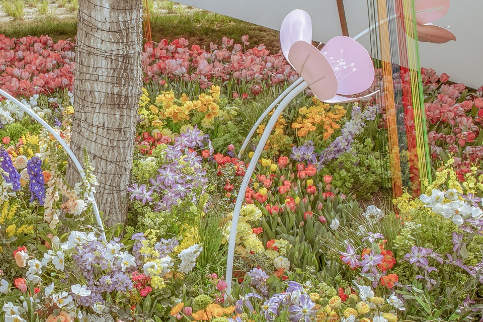 environmental renovation and enhancement design of cherry blossom valley in beixiaohe park beijing by dimu design