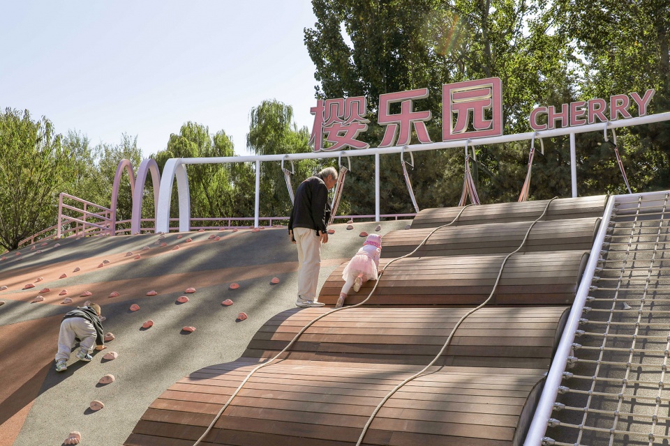 environmental renovation and enhancement design of cherry blossom valley in beixiaohe park beijing by dimu design