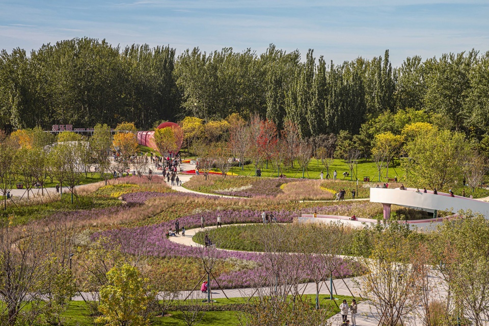 environmental renovation and enhancement design of cherry blossom valley in beixiaohe park beijing by dimu design