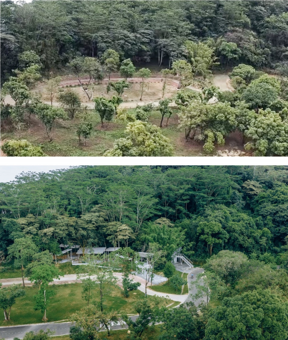 Floating Canopy Grove