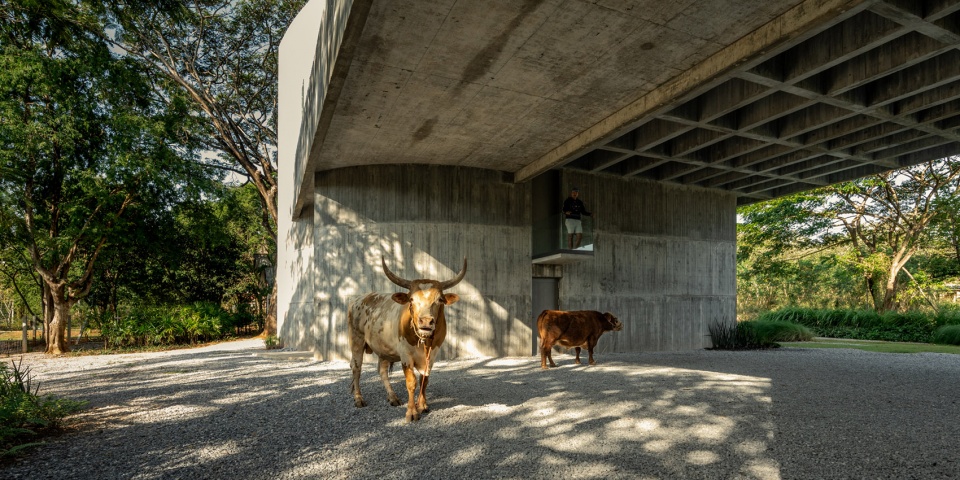 w house ii by idin architects