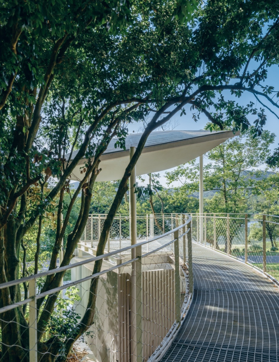 Floating Canopy Grove