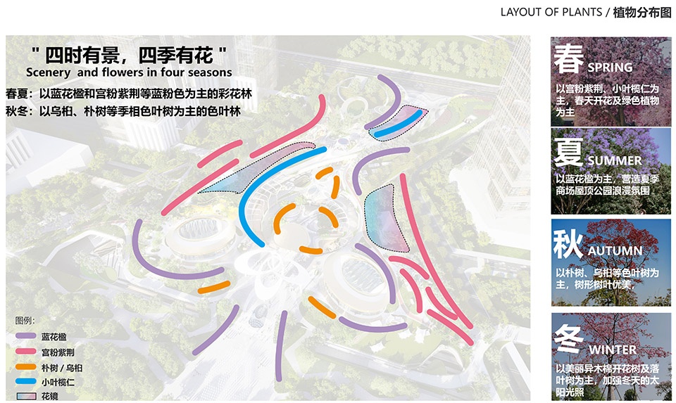 zuohai light year park by waterlily