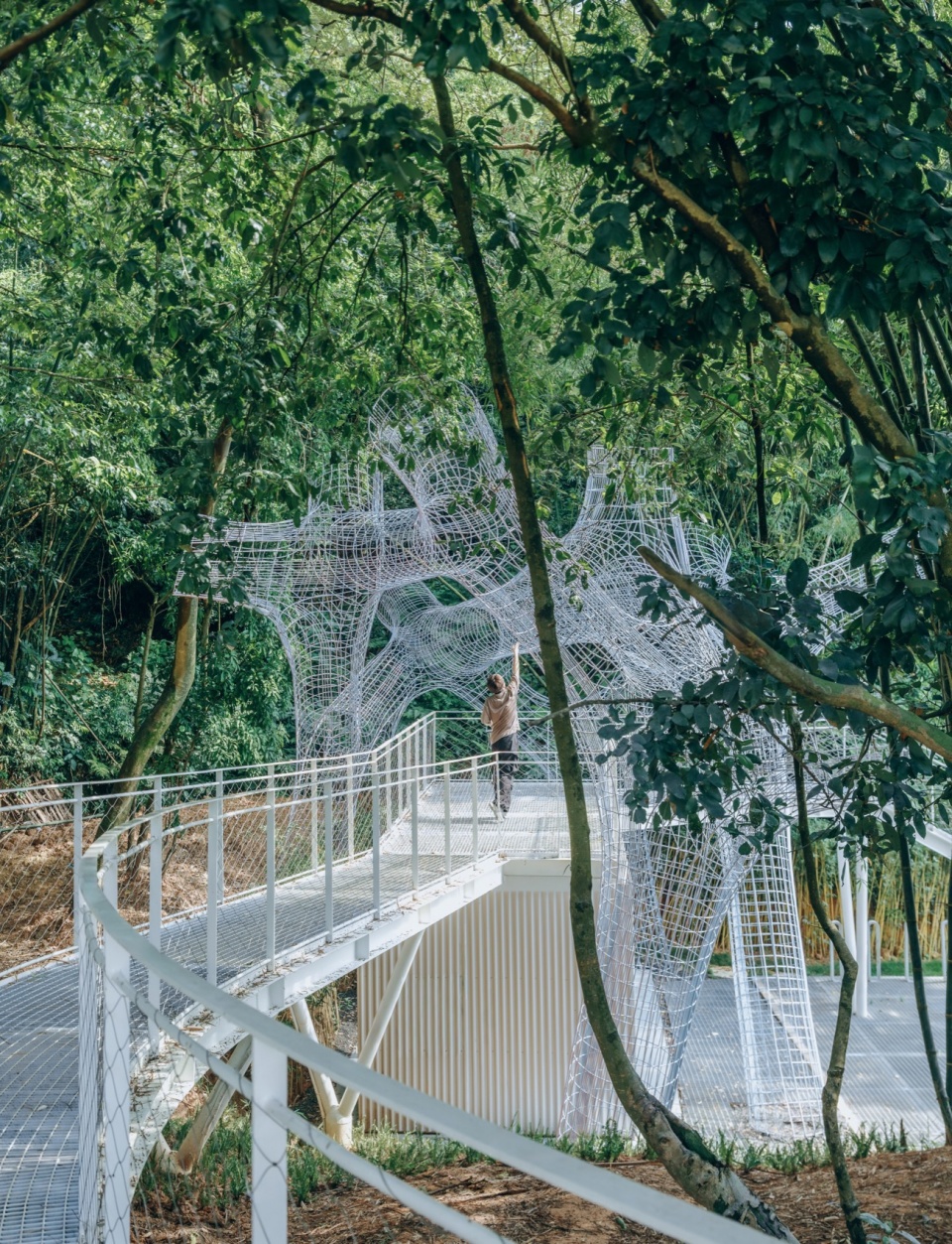 Floating Canopy Grove