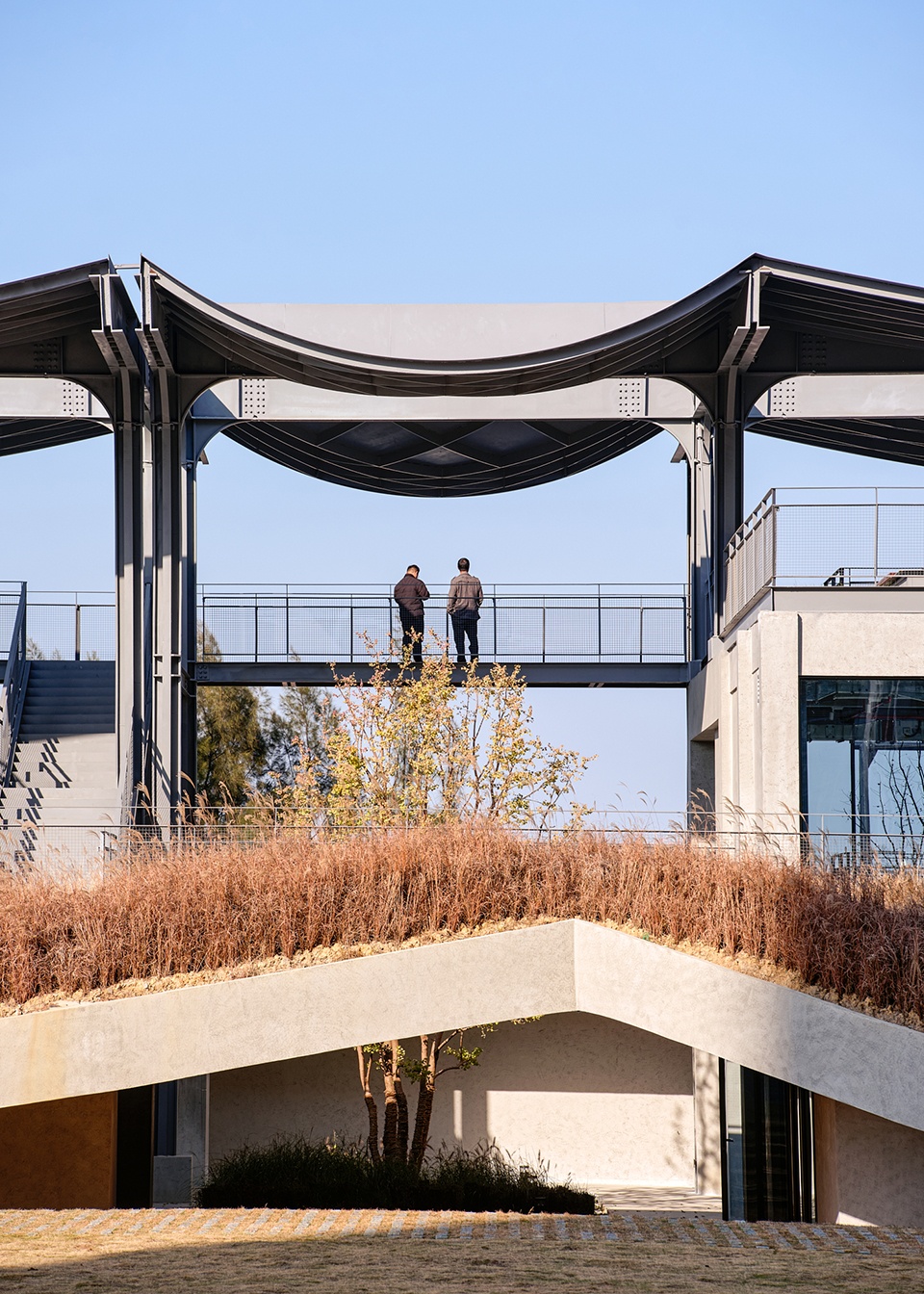 a reborn scenic field above waves by original design studio