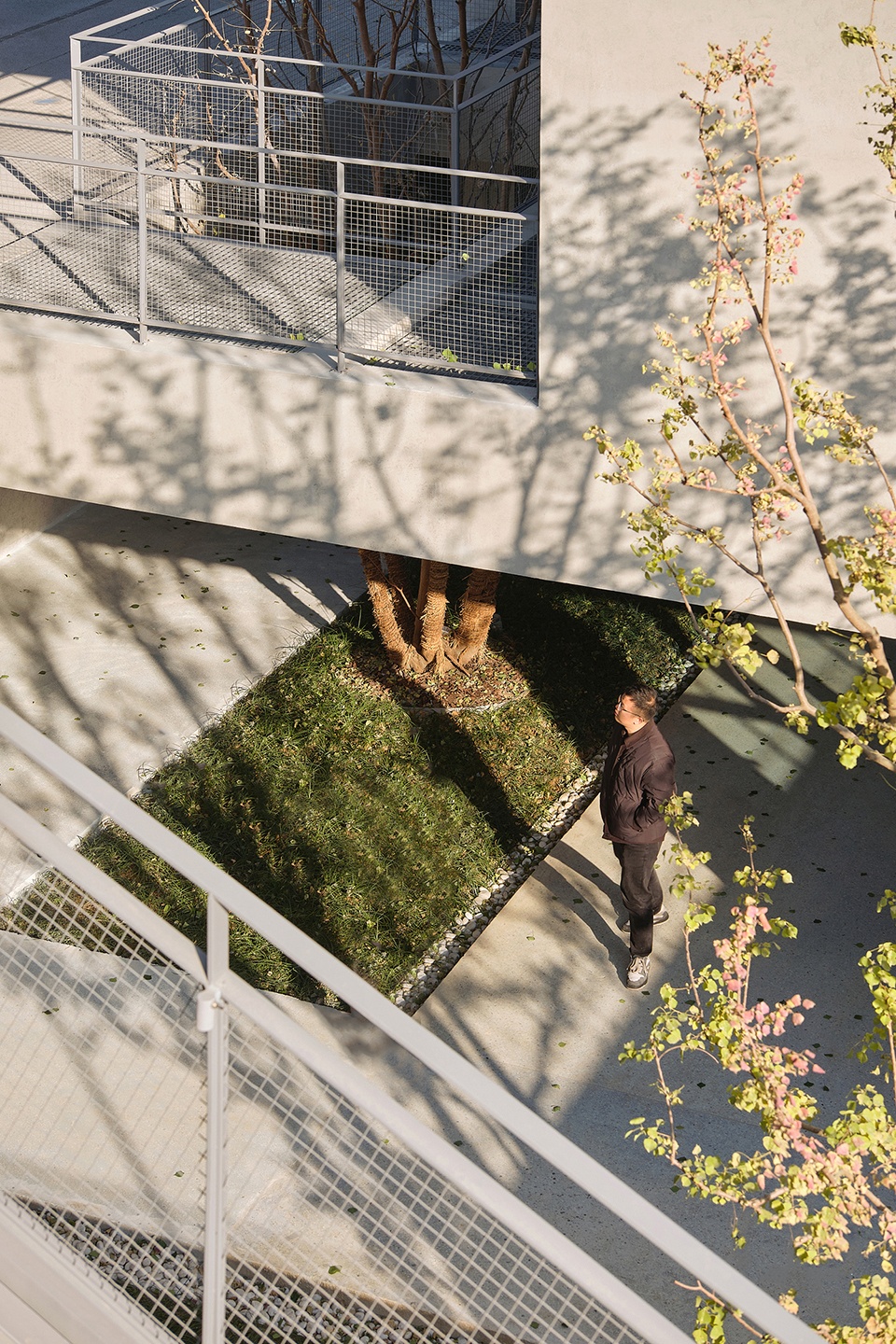 a reborn scenic field above waves by original design studio