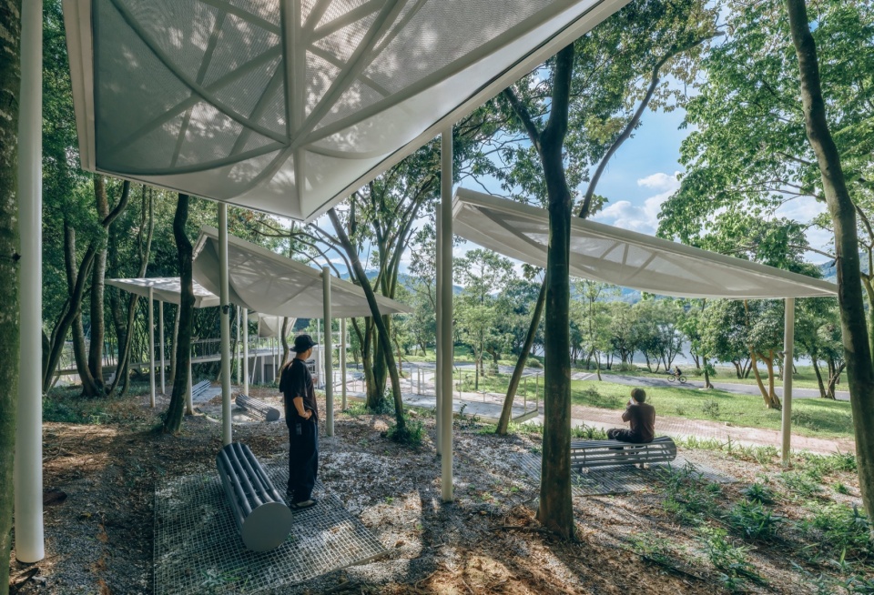Floating Canopy Grove