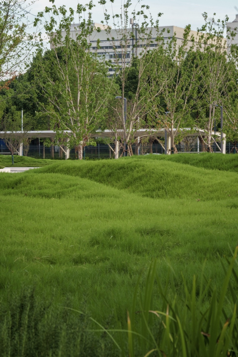Landscape Design for Changzhou STA R D Park