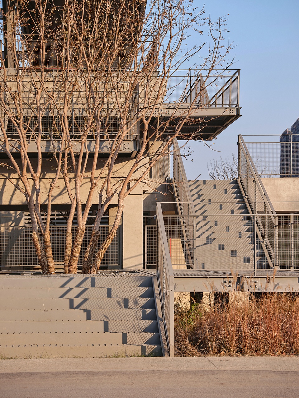a reborn scenic field above waves by original design studio