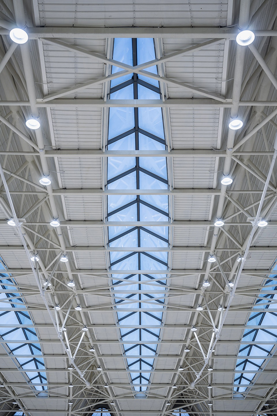 natatorium of huazhong university of science by atelier sun