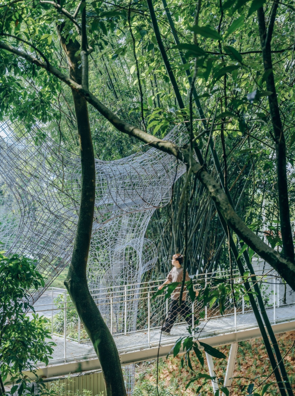 Floating Canopy Grove