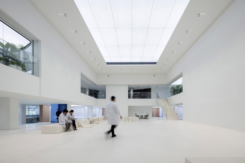 cashmere tech centre by waa jfd