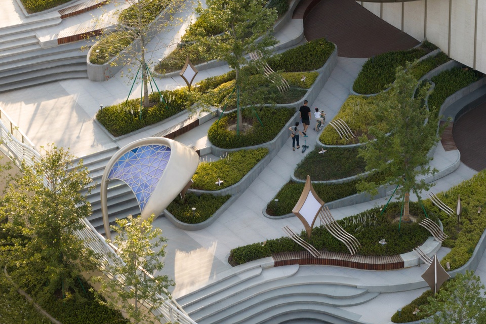 zuohai light year park by waterlily