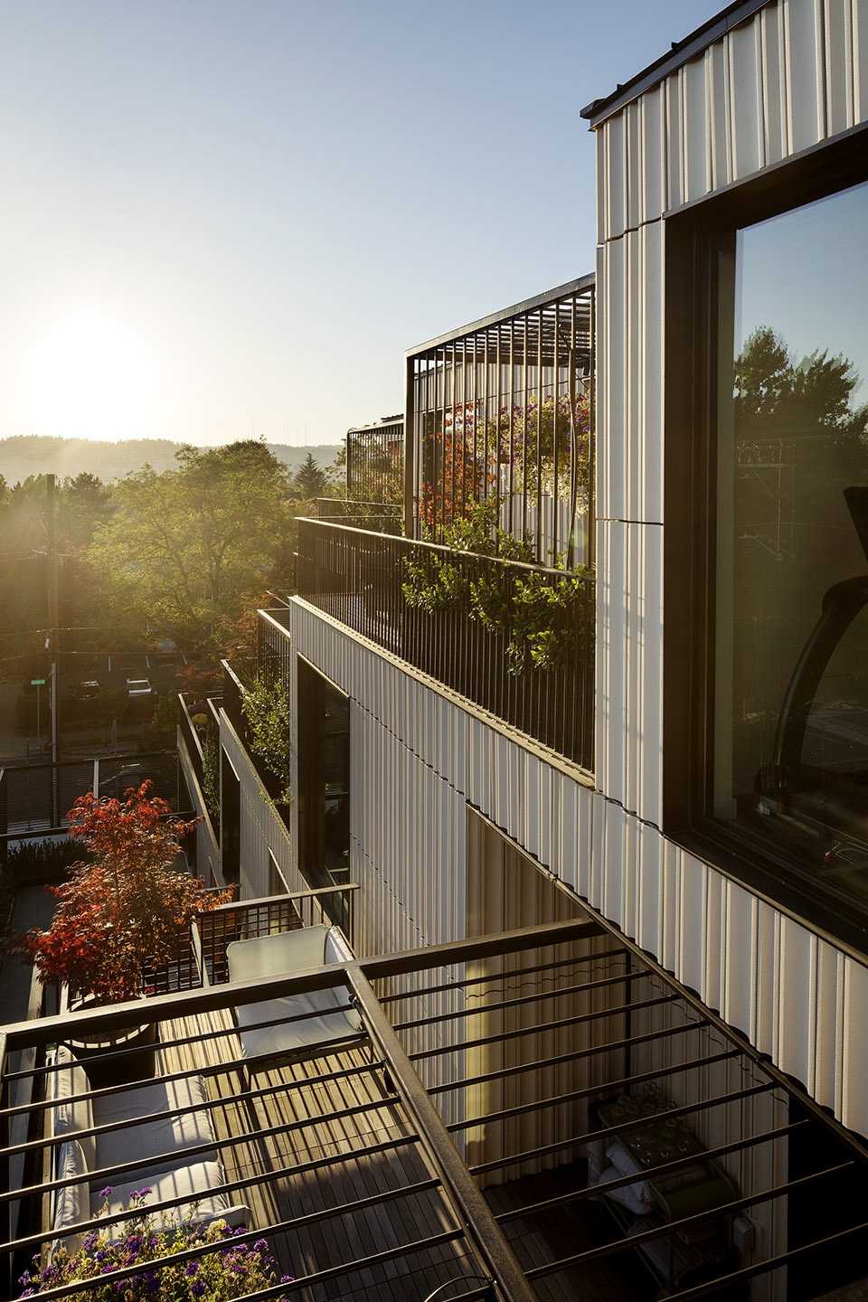 ellen browning building by cameron macallister group
